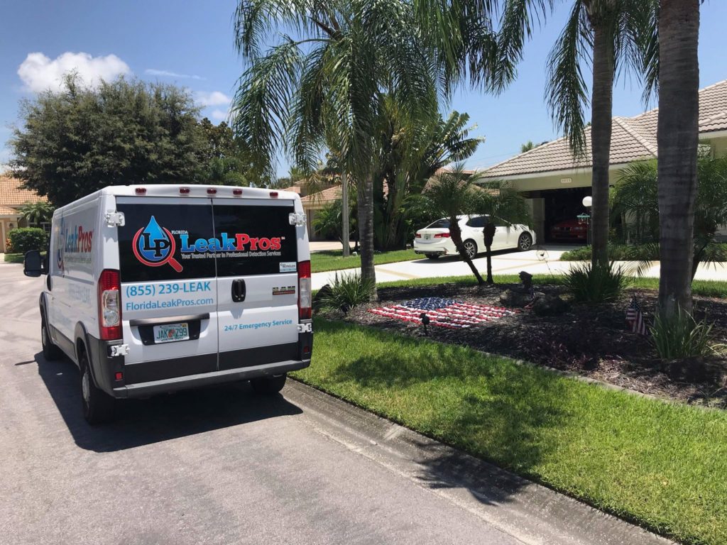 # 1 Leak Detection Service