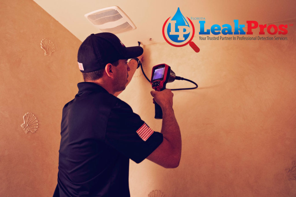 Mystery Water Leak Detection | LeakHero